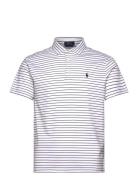 Custom Slim Fit Striped Soft Cotton Polo White Polo Ralph Lauren