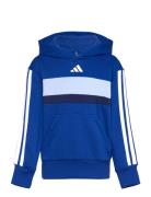 J 3S Tib Fl Hd Blue Adidas Sportswear