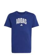 J Colleg T Blue Adidas Sportswear
