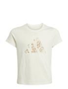 G Anml Sj Bl T Cream Adidas Sportswear