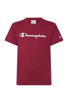 Ss Tee Burgundy Champion