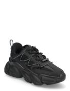 Spectator Black Steve Madden