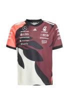 Mer Dr Jsysp Ry Red Adidas Performance