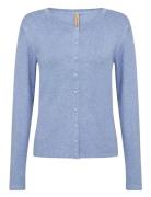 Sc-Dollie Blue Soyaconcept