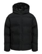 Jjesoho Puffer Hood Sn Jnr Black Jack & J S
