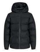 Jjelements Pu Puffer Jnr Black Jack & J S