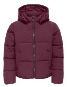 Kogdolly Life Sht Puffer Jacket Otw Noos Purple Kids Only
