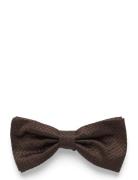 Uitta Brown Tiger Of Sweden