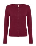 Sc-Dollie Burgundy Soyaconcept