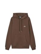 Standard Hoodie Logo Sweat Brown Mads Nørgaard