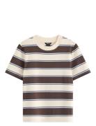 T-Shirt Brown Lindex