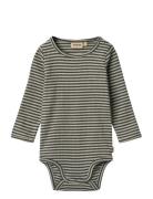 Body L/S Berti Patterned Wheat