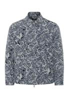 Mabluame Blue Matinique