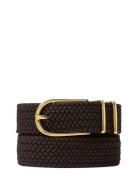 Mangola Brown Saddler