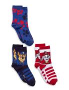 Socks Patterned Paw Patrol