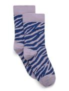 Zebra Socks Purple Melton
