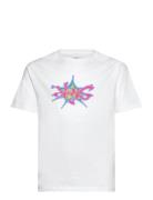 Machinlma Ss White VANS