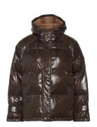 Shelbyll Jacket Brown Lollys Laundry