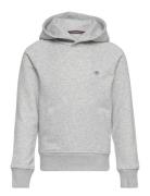 Shield Hoodie Grey GANT