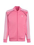 Sst Track Top Pink Adidas Originals