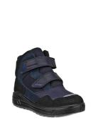 Urban Snowboarder Navy ECCO