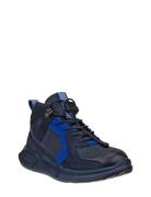 Biom 2.2 K Blue ECCO