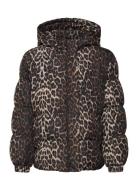 Tnpuffa Jacket Brown The New