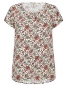 Sc-Samea Brown Soyaconcept