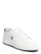 Basket Cupsole Laceup Lth Ml White Calvin Klein