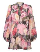 Organza Mini Dress Patterned By Ti Mo