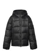 Milo Down Puffer Jacket Black Lexington Clothing