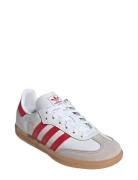 Samba Og C White Adidas Originals
