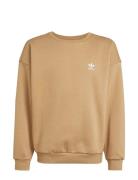 Boyfriend Crew Beige Adidas Originals