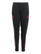 Lfc Tr Pnt Y Black Adidas Performance