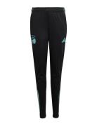 Fck Tr Pnt Y Black Adidas Performance