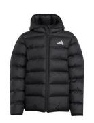 J Sd Jkt Black Adidas Sportswear