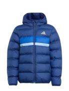 J Sd Jkt Blue Adidas Sportswear
