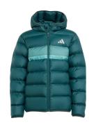 J Sd Jkt Green Adidas Sportswear