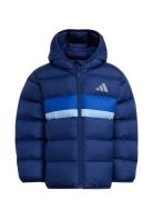 Lk Sd Jkt Blue Adidas Sportswear