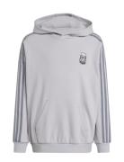 Hoodie Grey Adidas Originals