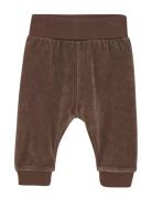 Pants Velour Brown Fixoni