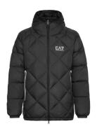 Down Jacket Black EA7