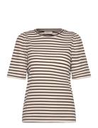 Fqeloisel-Tee Cream FREE/QUENT