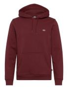 Oakport Hoodie Burgundy Dickies
