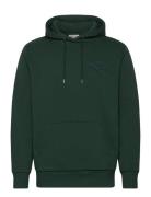 Reg Tonal Shield Hoodie Green GANT