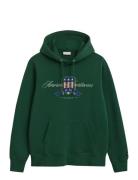 Graphic Hoodie Green GANT