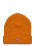 M Gibsland Beanie Orange Dickies