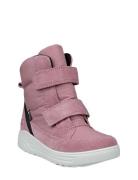 Urban Snowboarder Pink ECCO