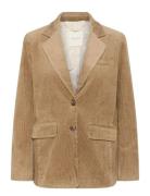 Lenipw Bz Brown Part Two