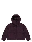 Short Puffer With Hood Burgundy Lee Jeans